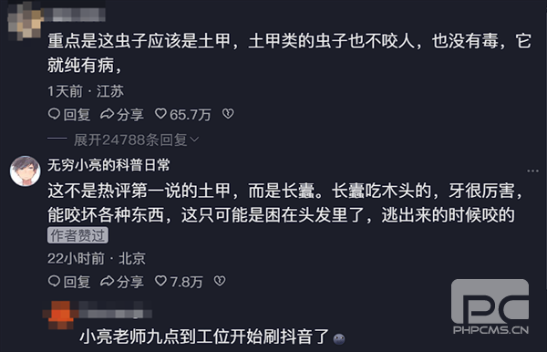 女子睡觉被虫咬掉一把头发,专家揭秘“凶手”真相