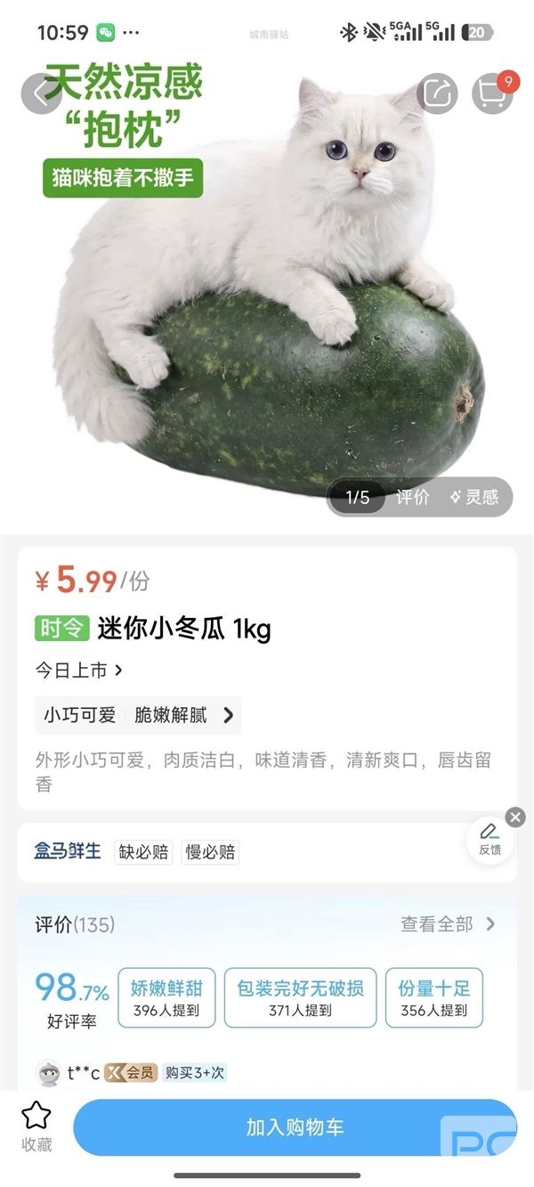 猫咪抱迷你冬瓜遭吐槽,盒马回应:已标注尺寸,图片仅供参考