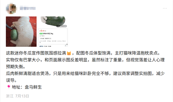 猫咪抱迷你冬瓜遭吐槽,盒马回应:已标注尺寸,图片仅供参考