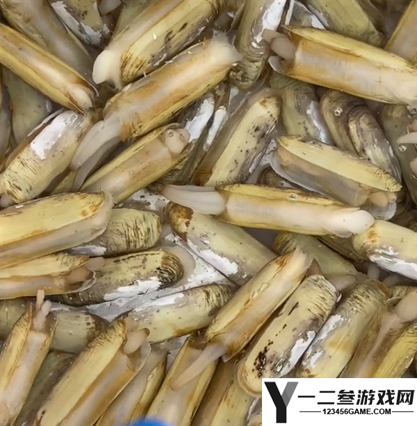 比猪肝更补铁的夏季美食:让你乐在其中的硬菜推荐