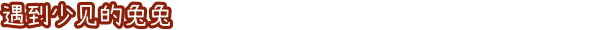 兔兔岛游戏特色内容介绍