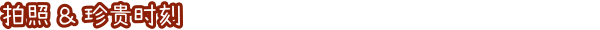 兔兔岛游戏特色内容介绍