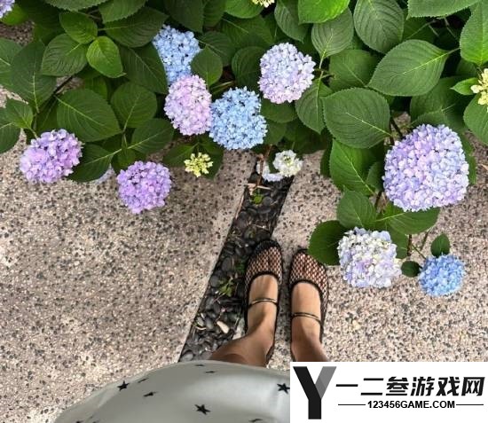 7000元爆款渔网丑鞋热销,推动浙江多条流水线复苏