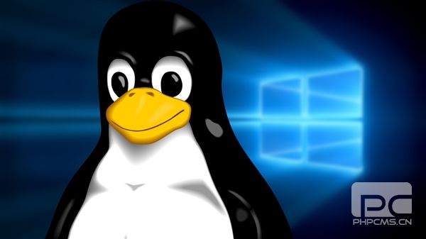 Windows市场份额达94.1%，Linux仅占3.69% - 碾压对比分析
