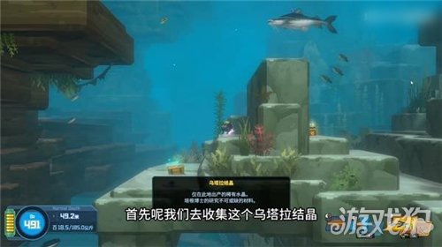 潜水员戴夫丛林DLC怎么抓大型鱼类