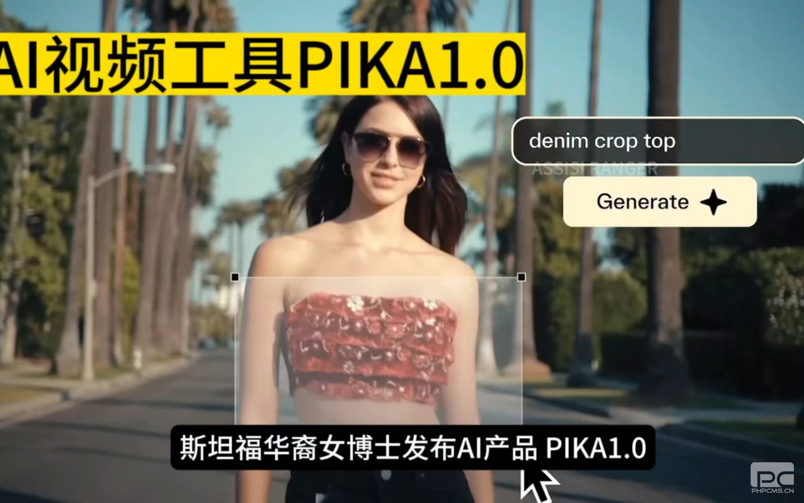 pika功能使用教程