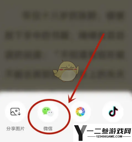 番茄小说分享链接方法