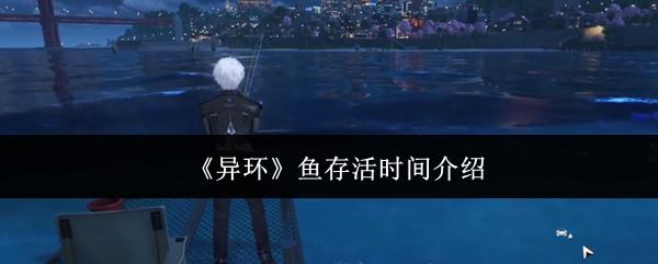 异环