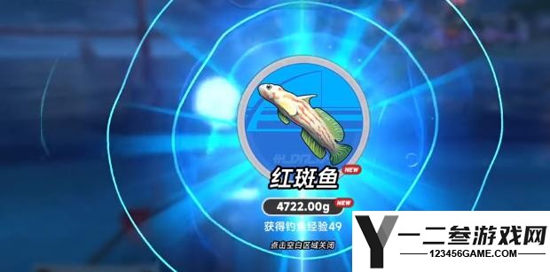 异环