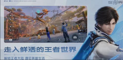 王者荣耀世界