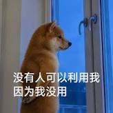 网速慢原因揭秘：运营商套餐限制可能正在影响你！