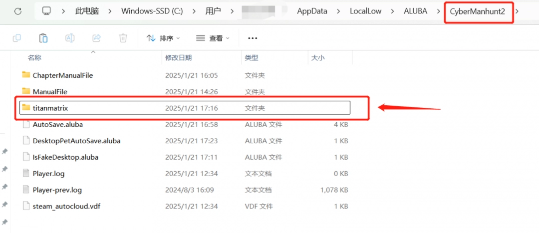 全网公敌2