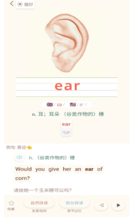 轻记单词app免费版app下载