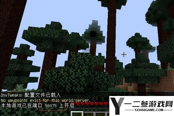 我的世界怎么才能双人联机